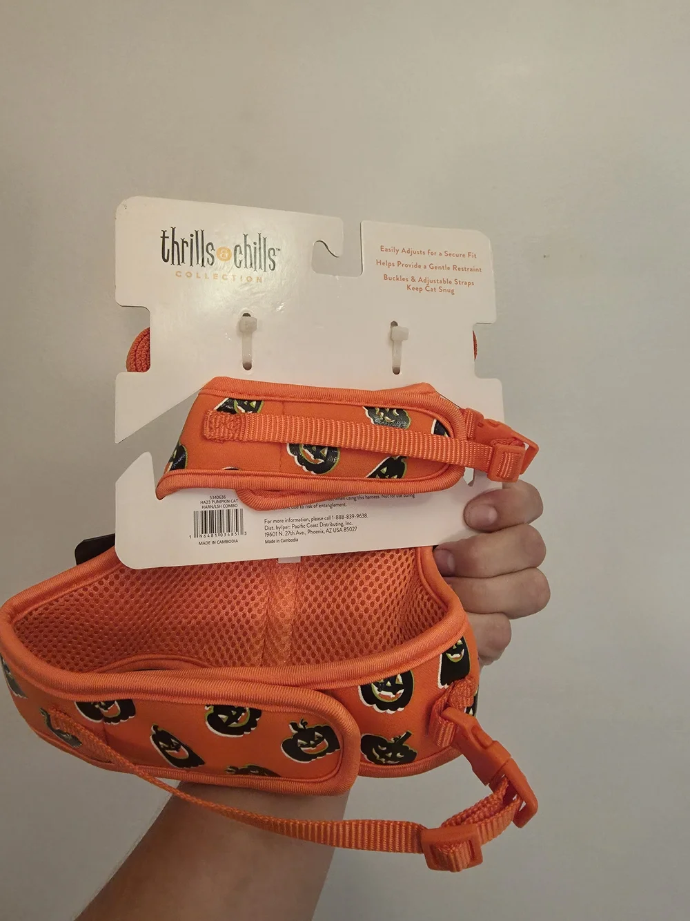 Thrills festive pumpkin